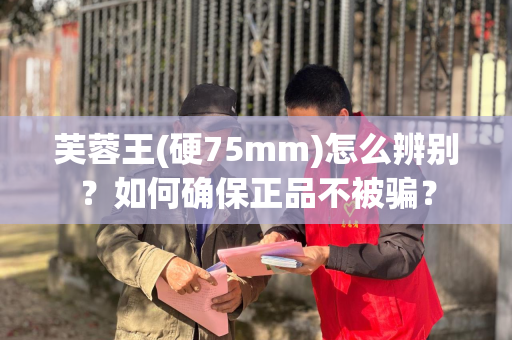 芙蓉王(硬75mm)怎么辨别？如何确保正品不被骗？